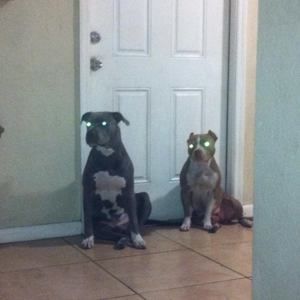 Meet your Posher, Ali